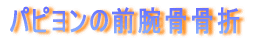 ps̑Or